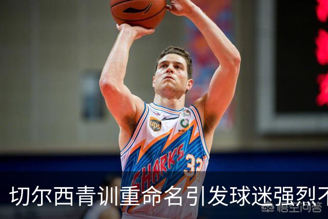 切尔西青训重命名引发球迷强烈不满